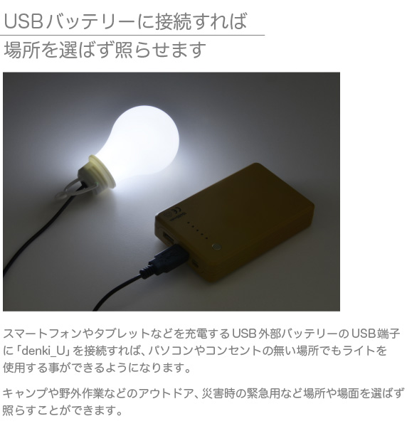 USB 電球型 全方向タイプ LEDライト denki_U