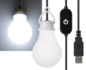 電球形 USB LEDライト DENKI-U
